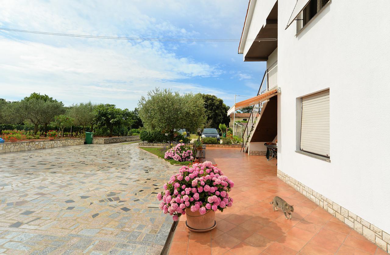 Apartment & Room Tanja 1552 بولا المظهر الخارجي الصورة